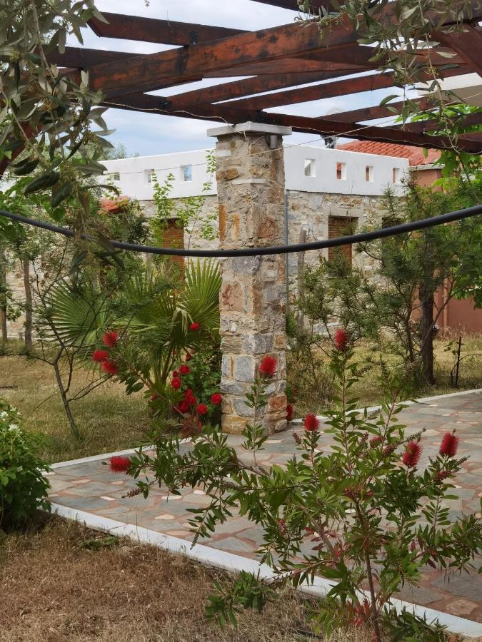 Elea Stone Houses In Organic Quiet Olive Grove, Prinos, Thassos Exterior photo