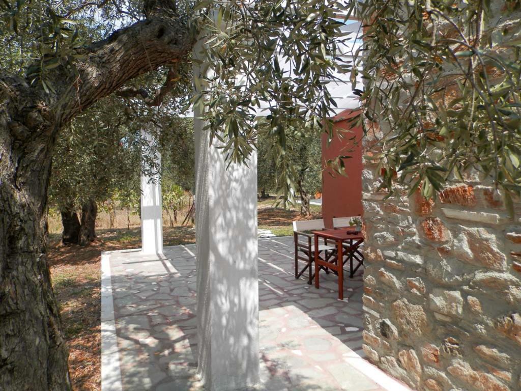 Elea Stone Houses In Organic Quiet Olive Grove, Prinos, Thassos Exterior photo