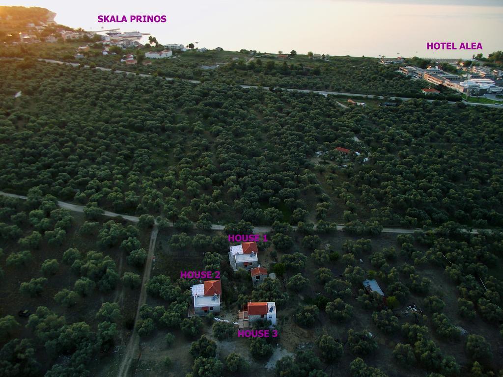 Elea Stone Houses In Organic Quiet Olive Grove, Prinos, Thassos Exterior photo