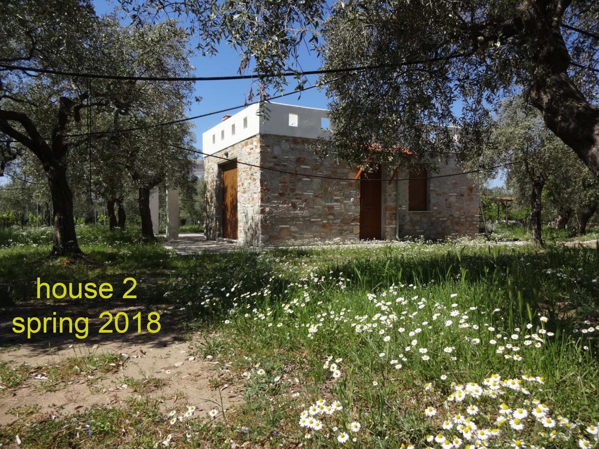 Elea Stone Houses In Organic Quiet Olive Grove, Prinos, Thassos Exterior photo
